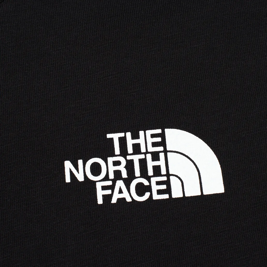 The North Face Мужской лонгслив Easy LS