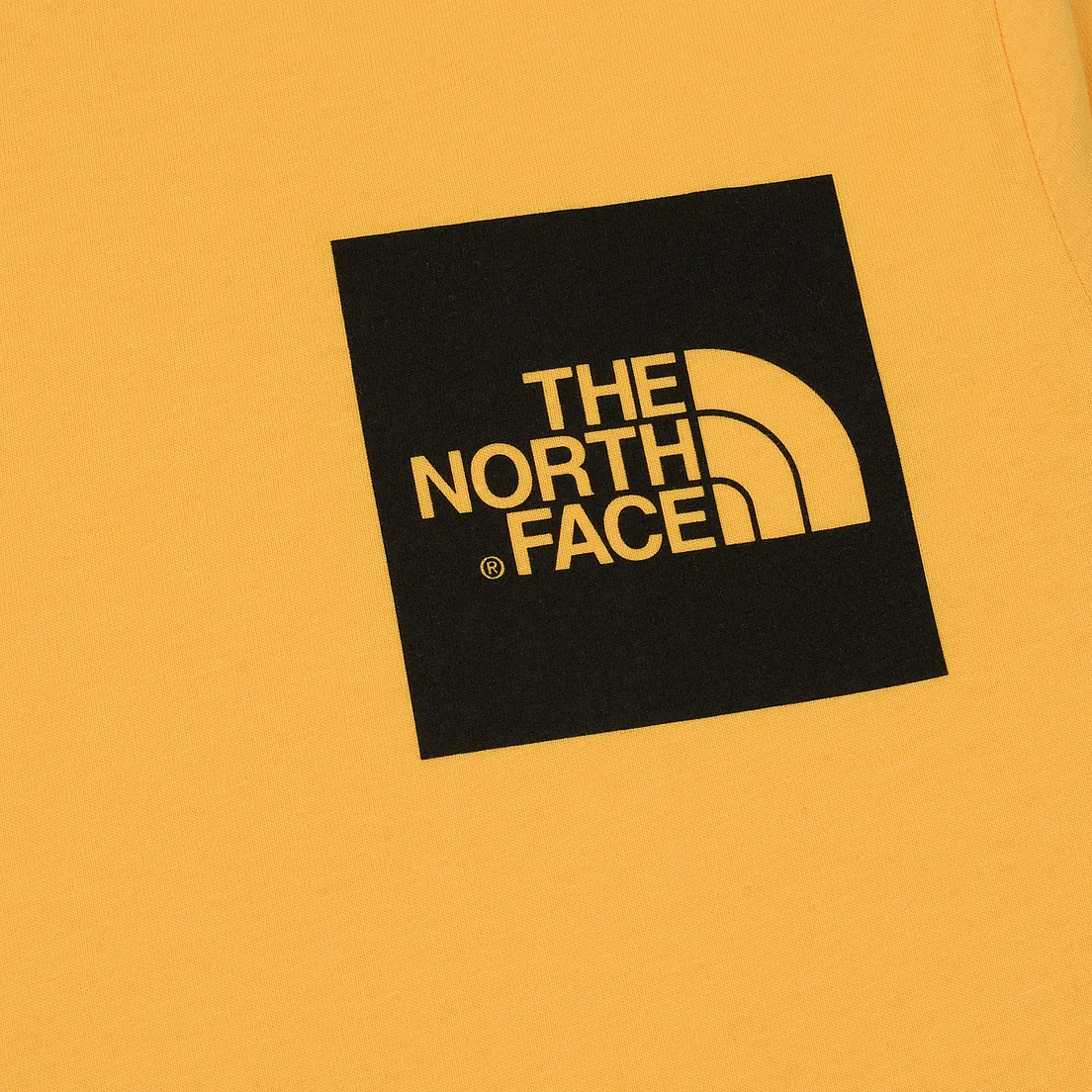 The North Face Мужской лонгслив L/S Fine