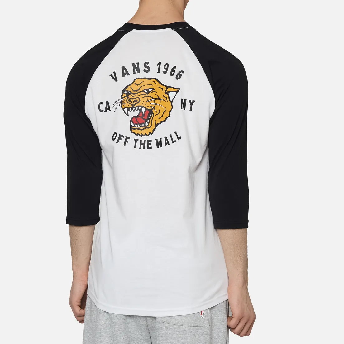 Vans Мужской лонгслив Growler Raglan