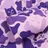 RIPNDIP
