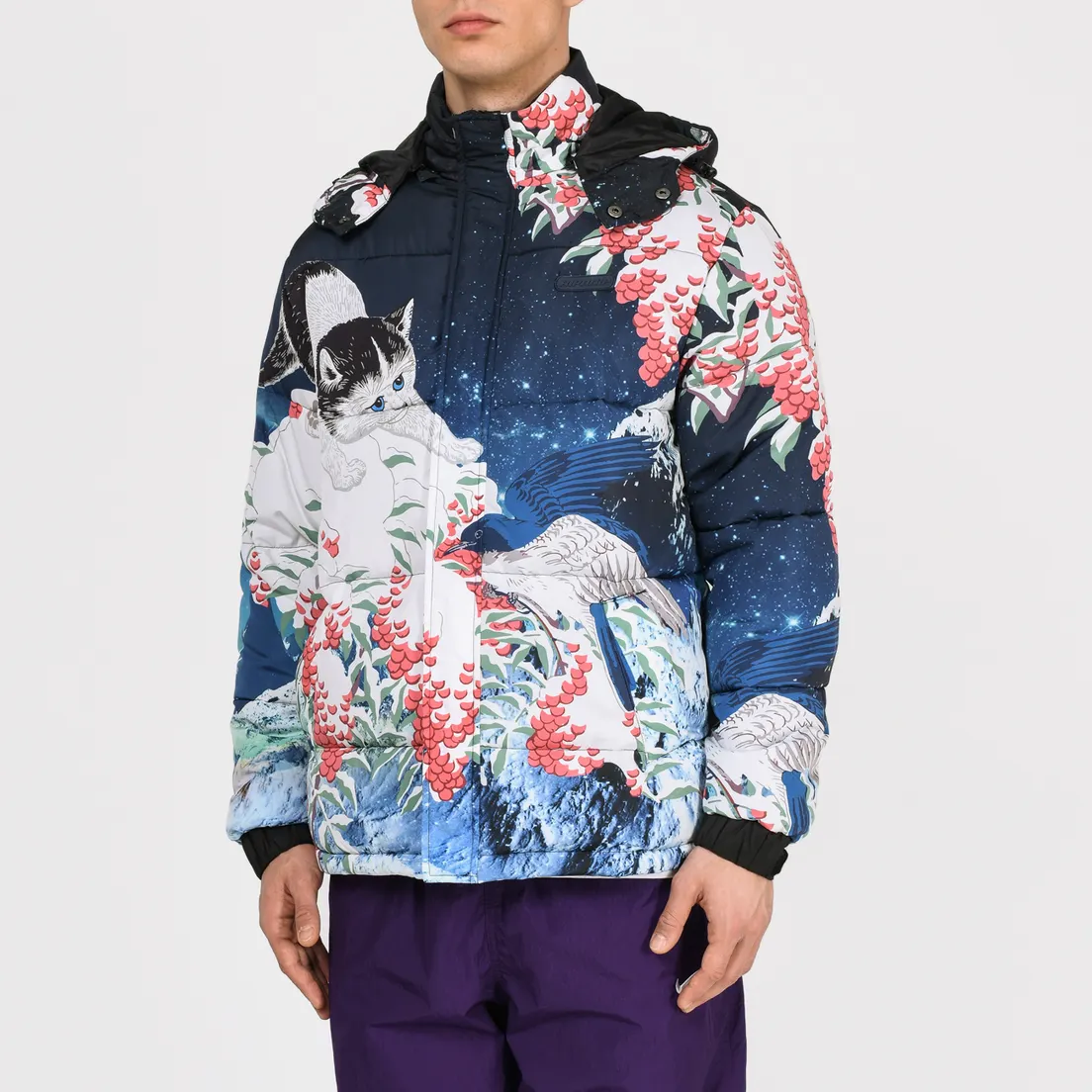 RIPNDIP Мужской пуховик Snow Bird Puffer