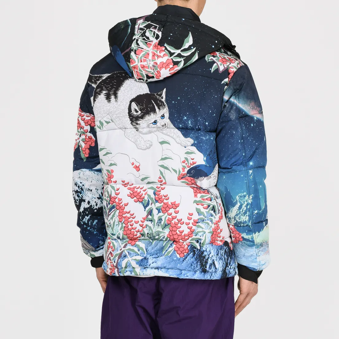 RIPNDIP Мужской пуховик Snow Bird Puffer