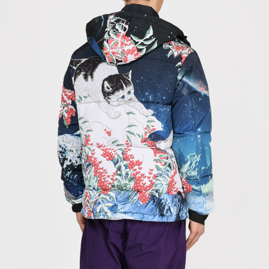 Мужской пуховик RIPNDIP Snow Bird Puffer Multicolor