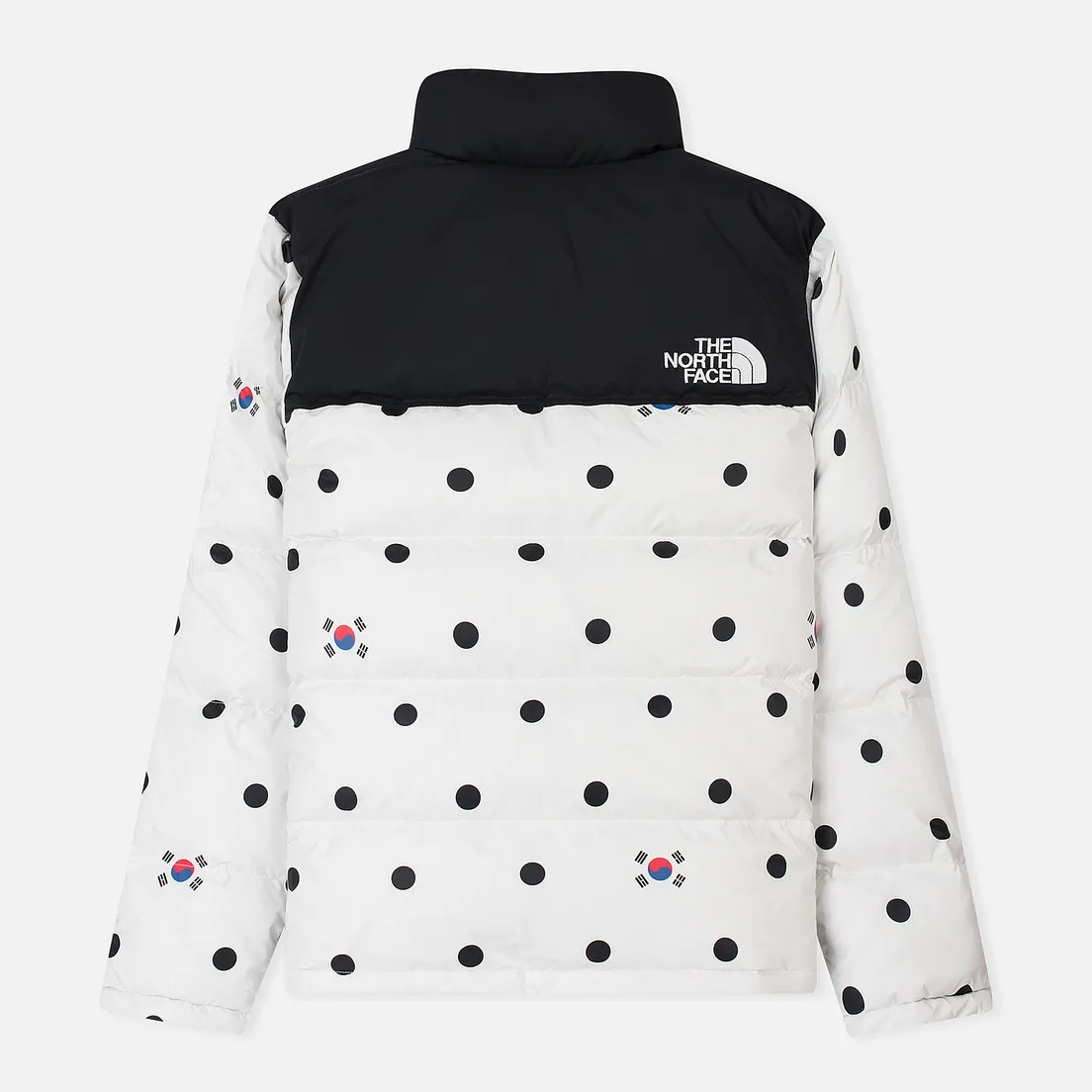 The North Face Мужской пуховик IC Nuptse