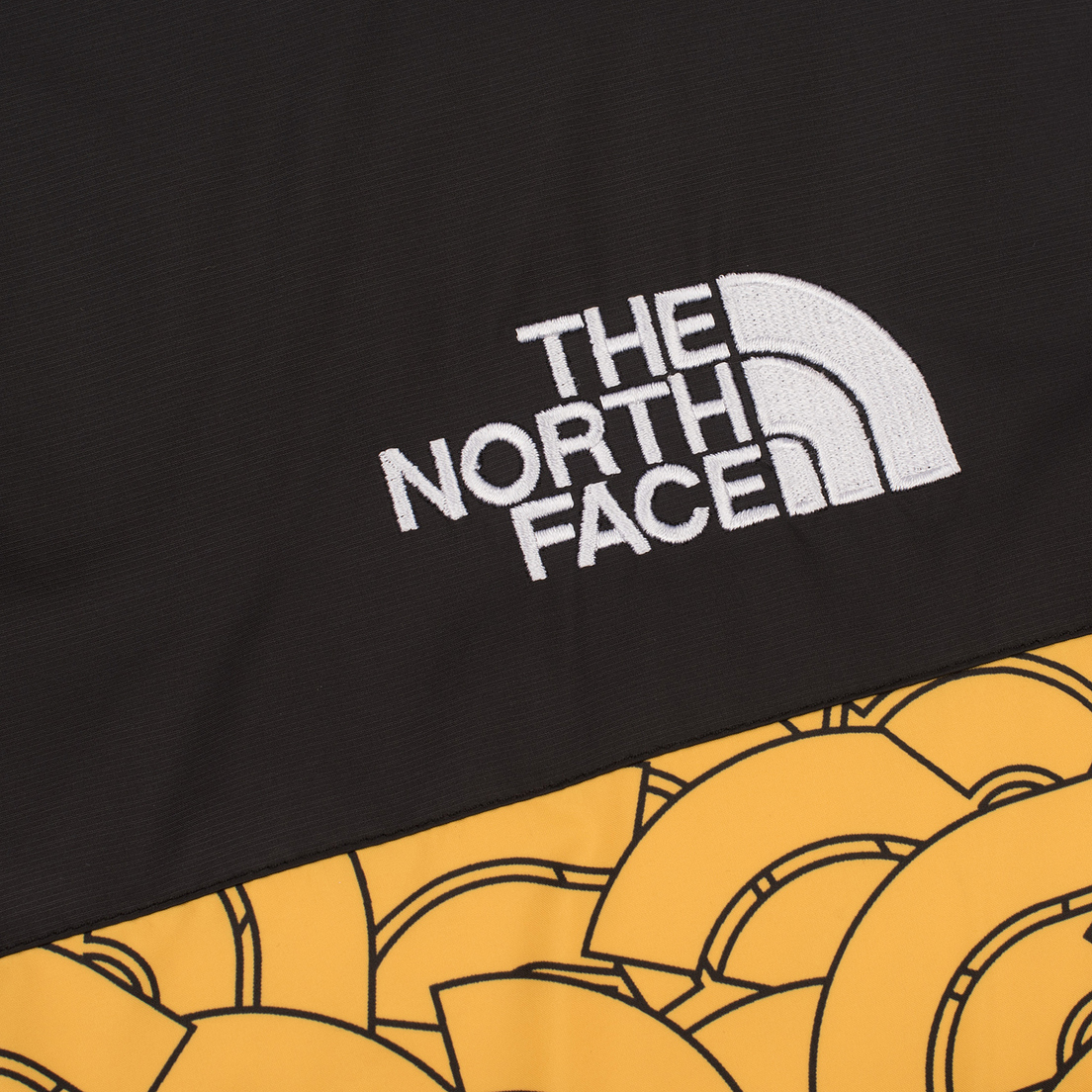 The North Face Мужской жилет 1992 Nuptse