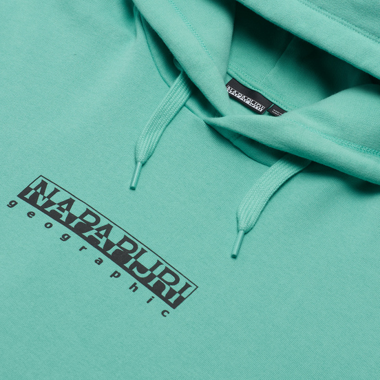 Мужская толстовка Napapijri Box Hoodie Green Dusty