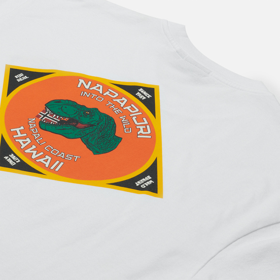 Мужская футболка Napapijri Alhoa Graphics White/Orange/Green