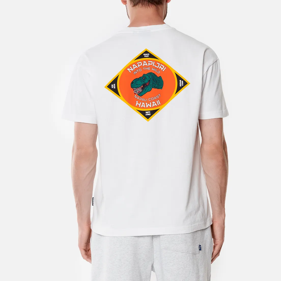 Napapijri Мужская футболка Alhoa Graphics