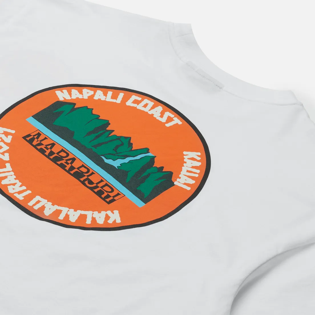 Napapijri Мужская футболка Alhoa Graphics