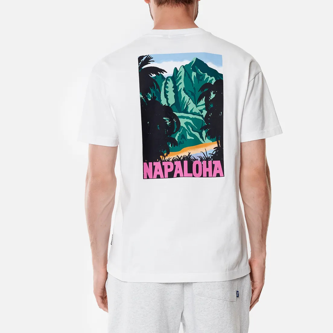 Napapijri Мужская футболка Alhoa Graphics