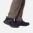Aigle