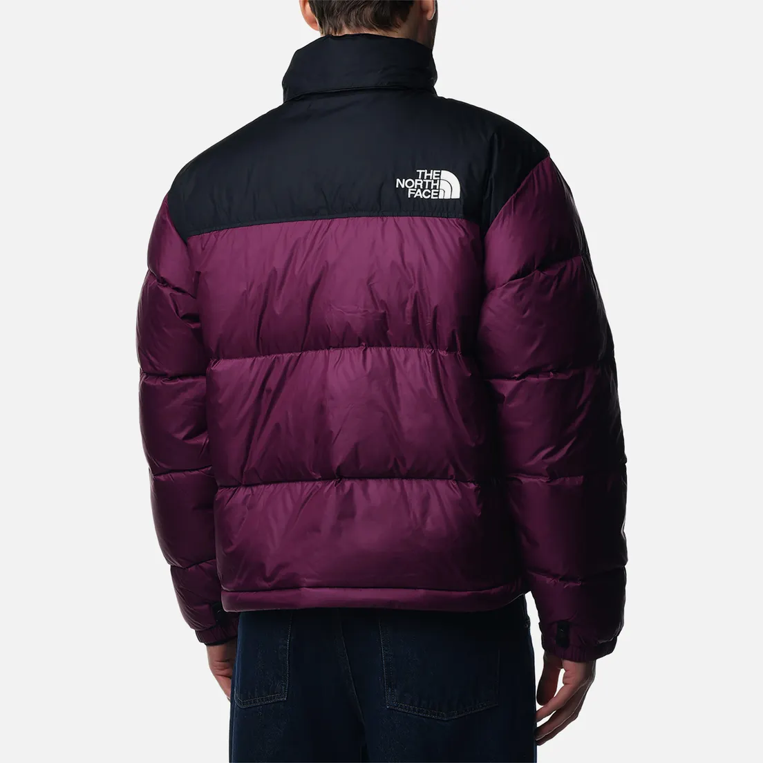 The North Face Мужской пуховик 1996 Retro Nuptse