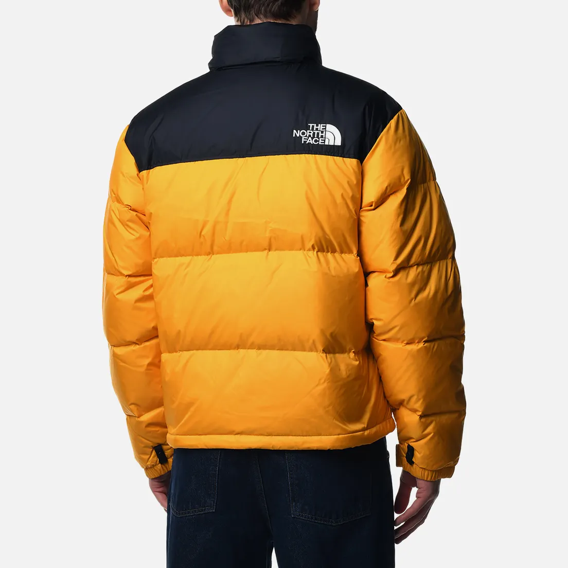 The North Face Мужской пуховик 1996 Retro Nuptse