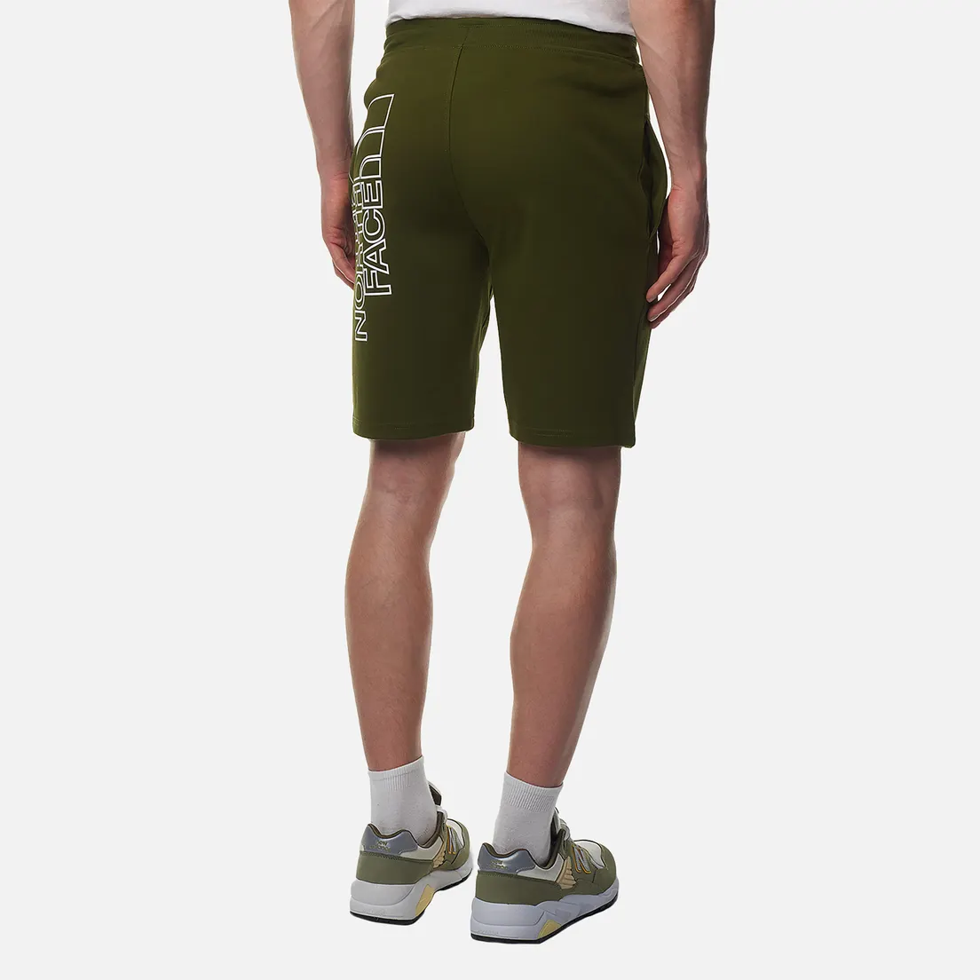 The North Face Мужские шорты Graphic Light
