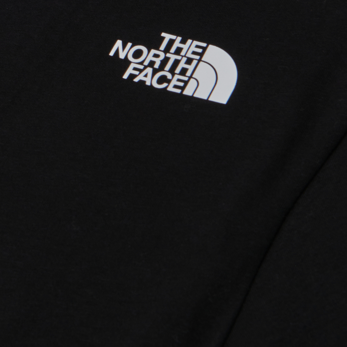 The North Face Мужская футболка Half Dome