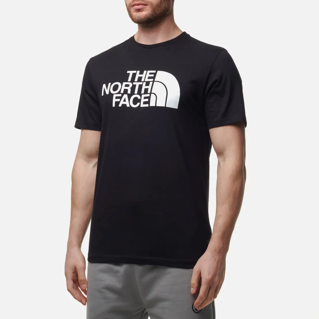 The North Face Мужская футболка Half Dome