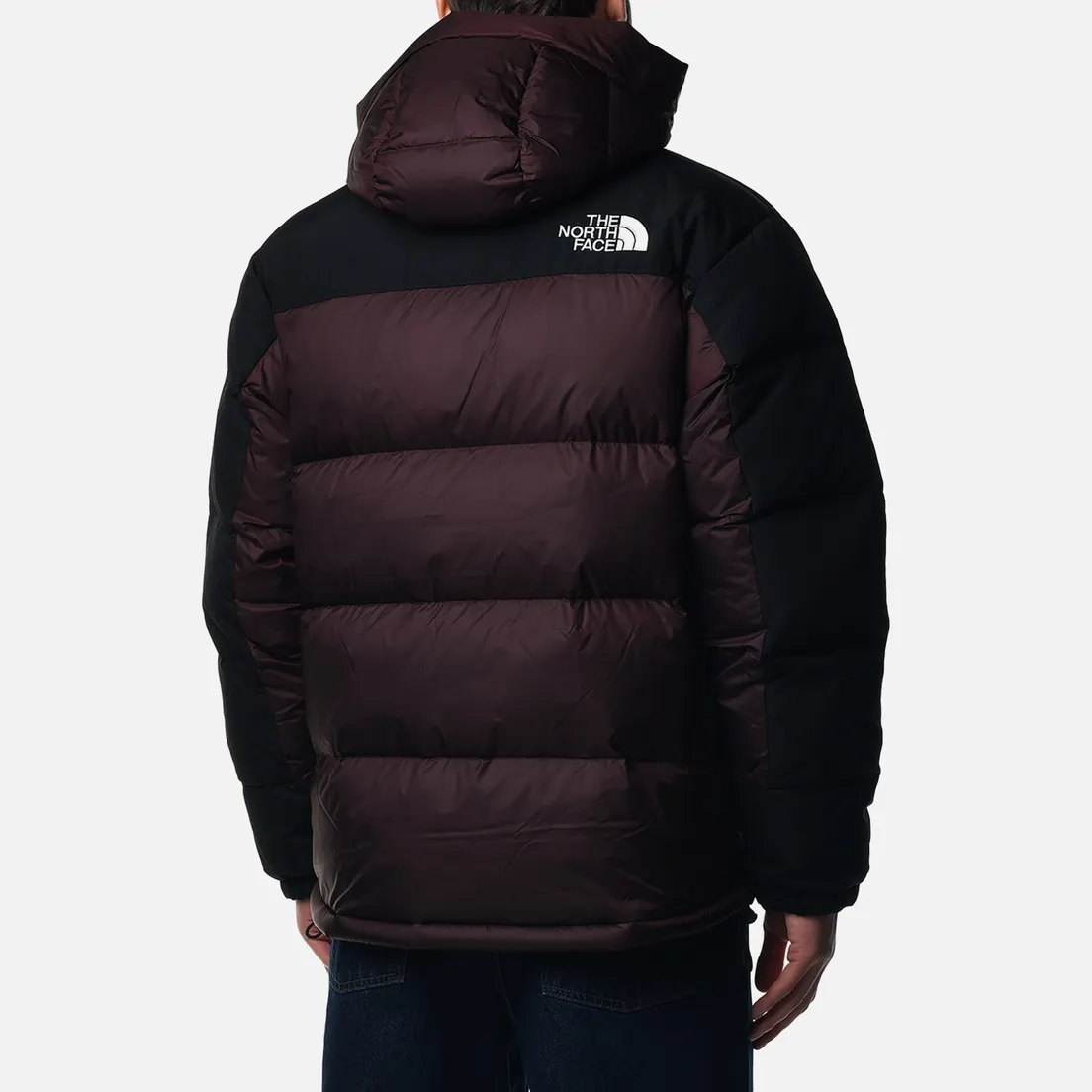 The North Face Мужской пуховик Himalayan Down