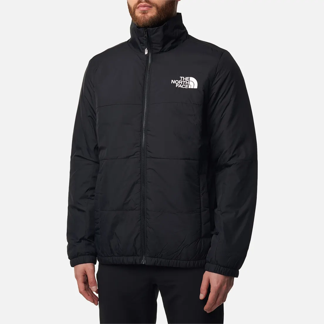 The North Face Мужская демисезонная куртка GoseI Puffer