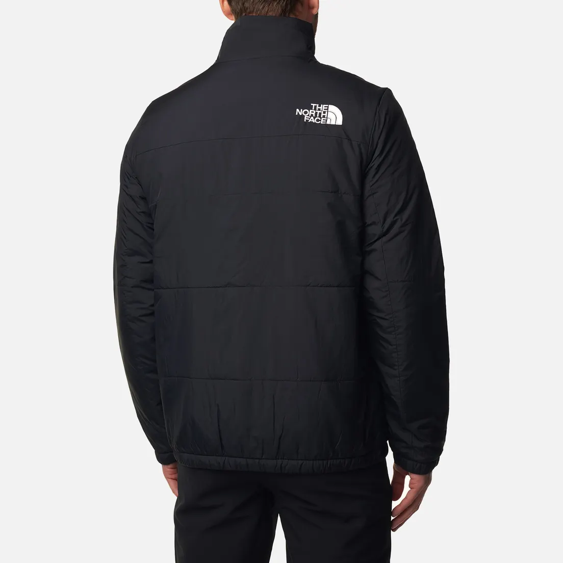 The North Face Мужская демисезонная куртка GoseI Puffer