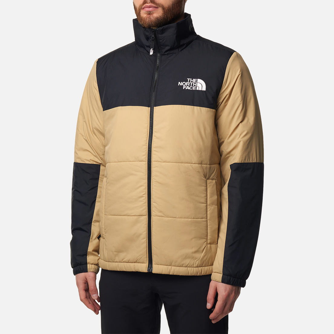The North Face Мужская демисезонная куртка GoseI Puffer