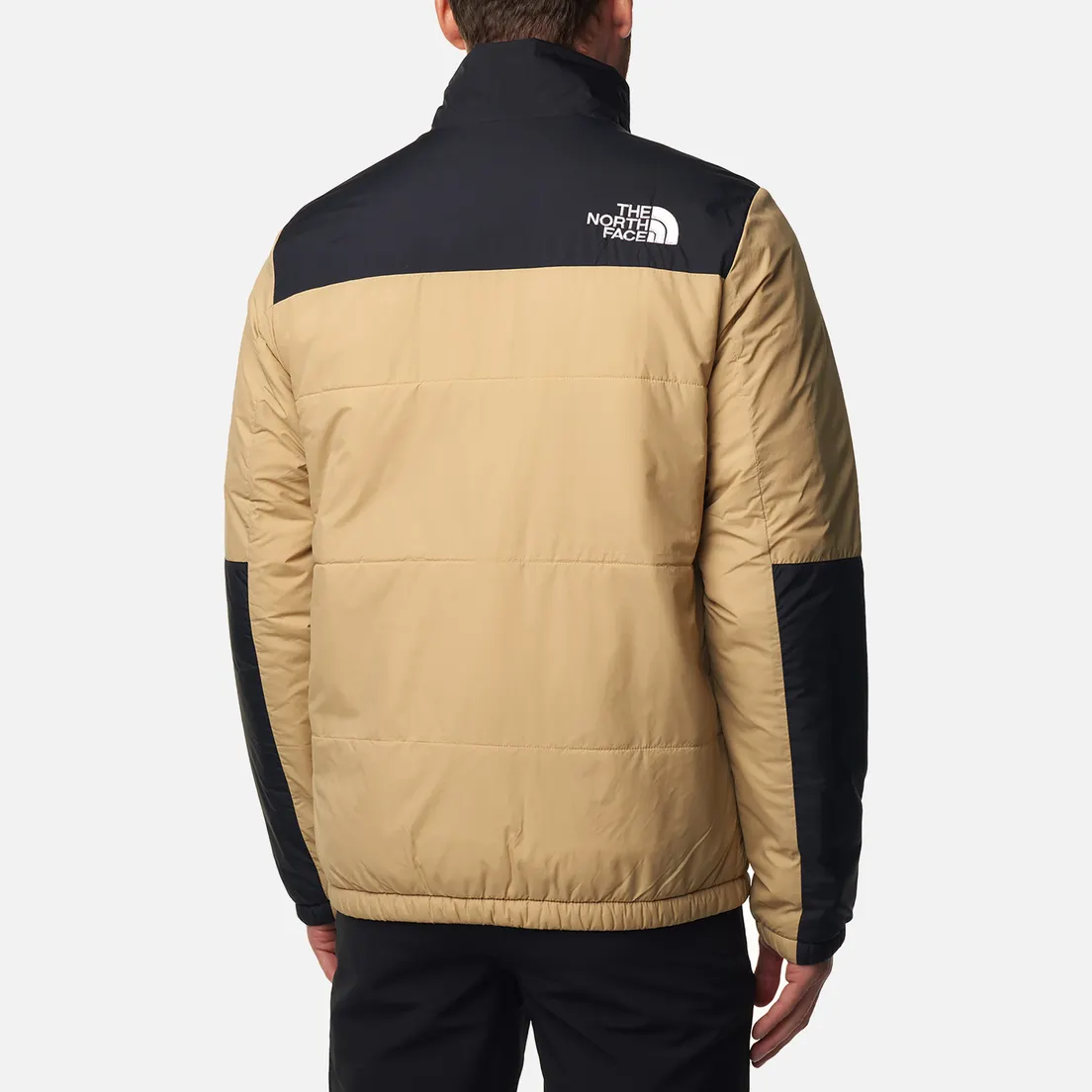 The North Face Мужская демисезонная куртка GoseI Puffer