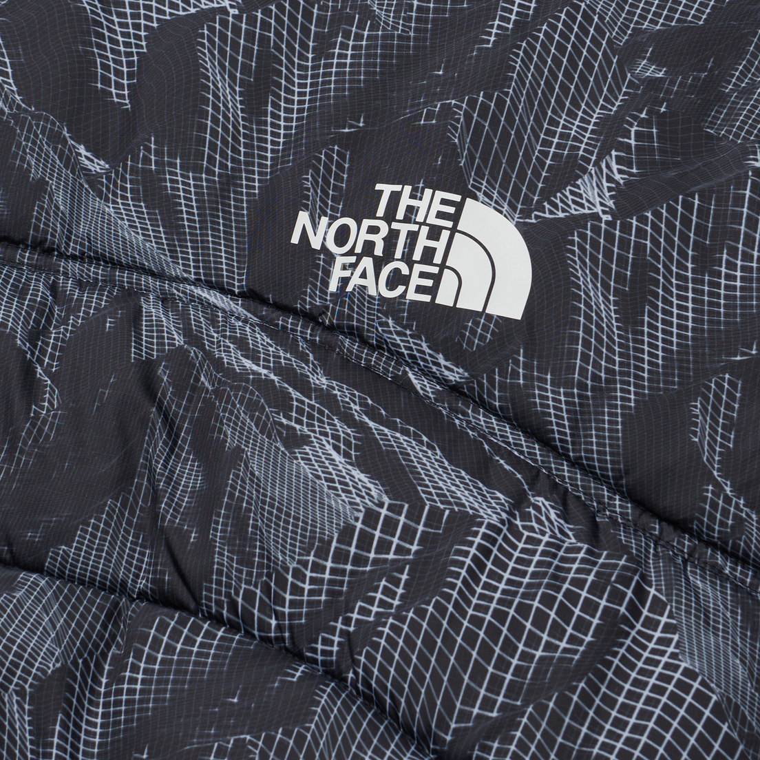 The North Face Мужской пуховик 2000 Synthetic Puffer