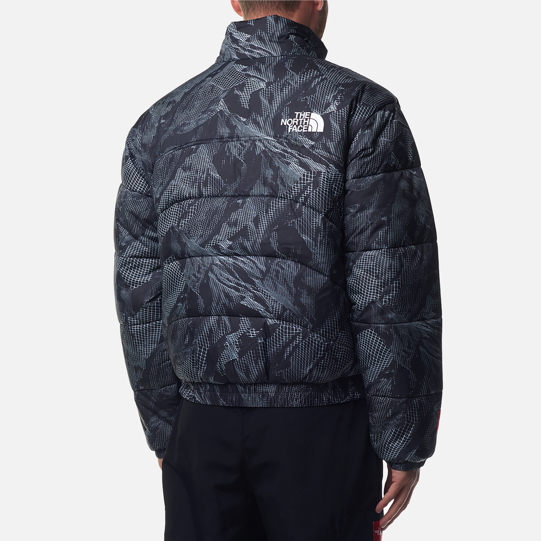 The North Face Мужской пуховик 2000 Synthetic Puffer