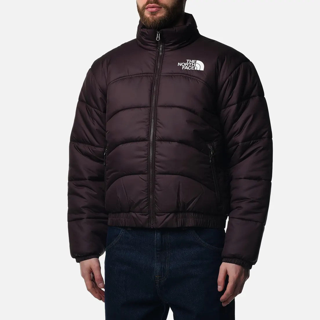 The North Face Мужской пуховик 2000 Synthetic Puffer