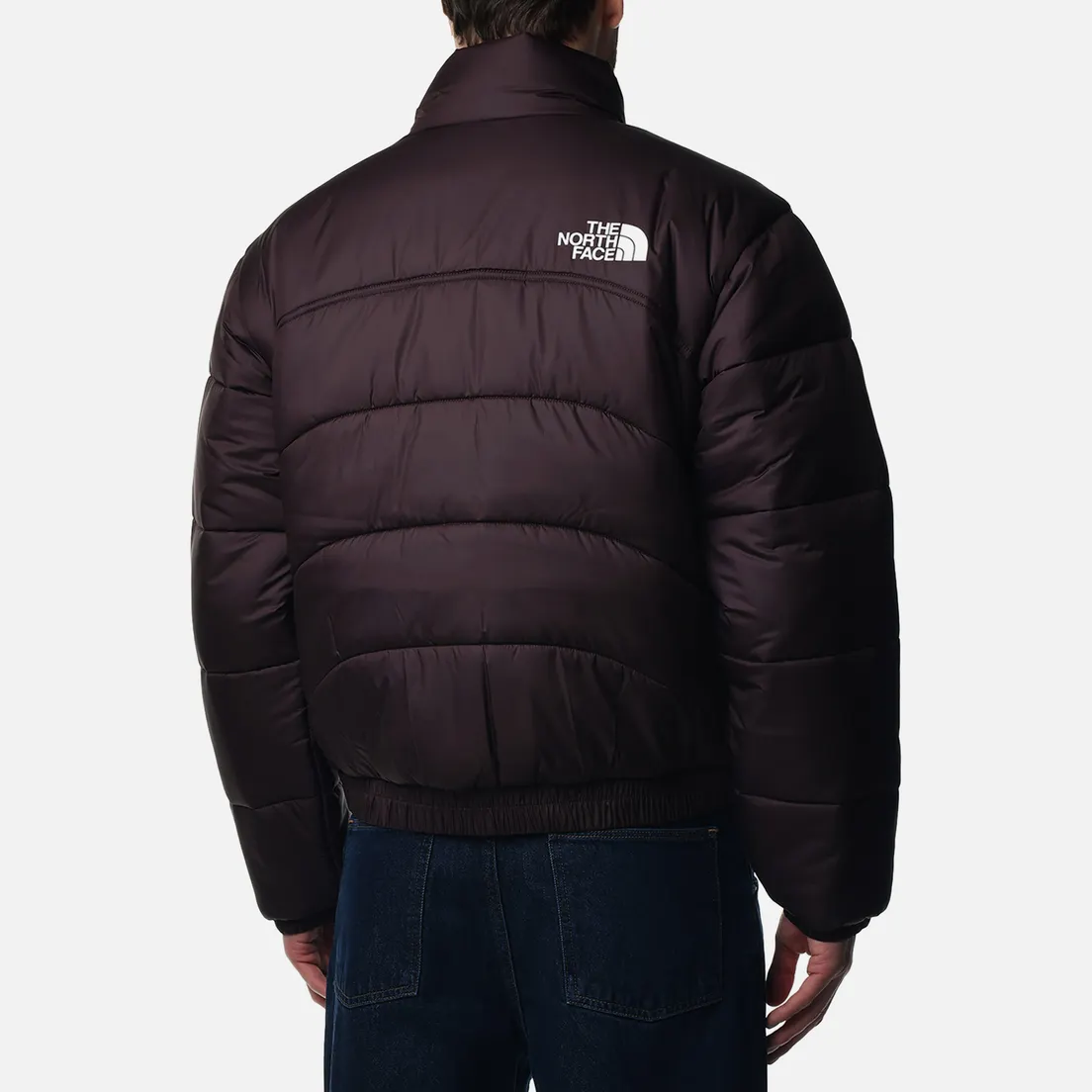 The North Face Мужской пуховик 2000 Synthetic Puffer