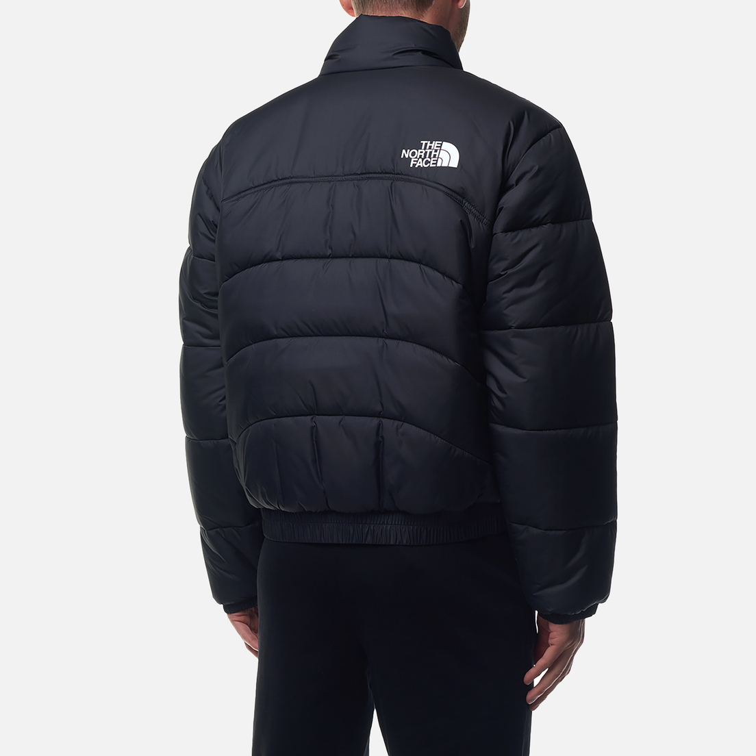 The North Face Мужской пуховик 2000 Synthetic Puffer