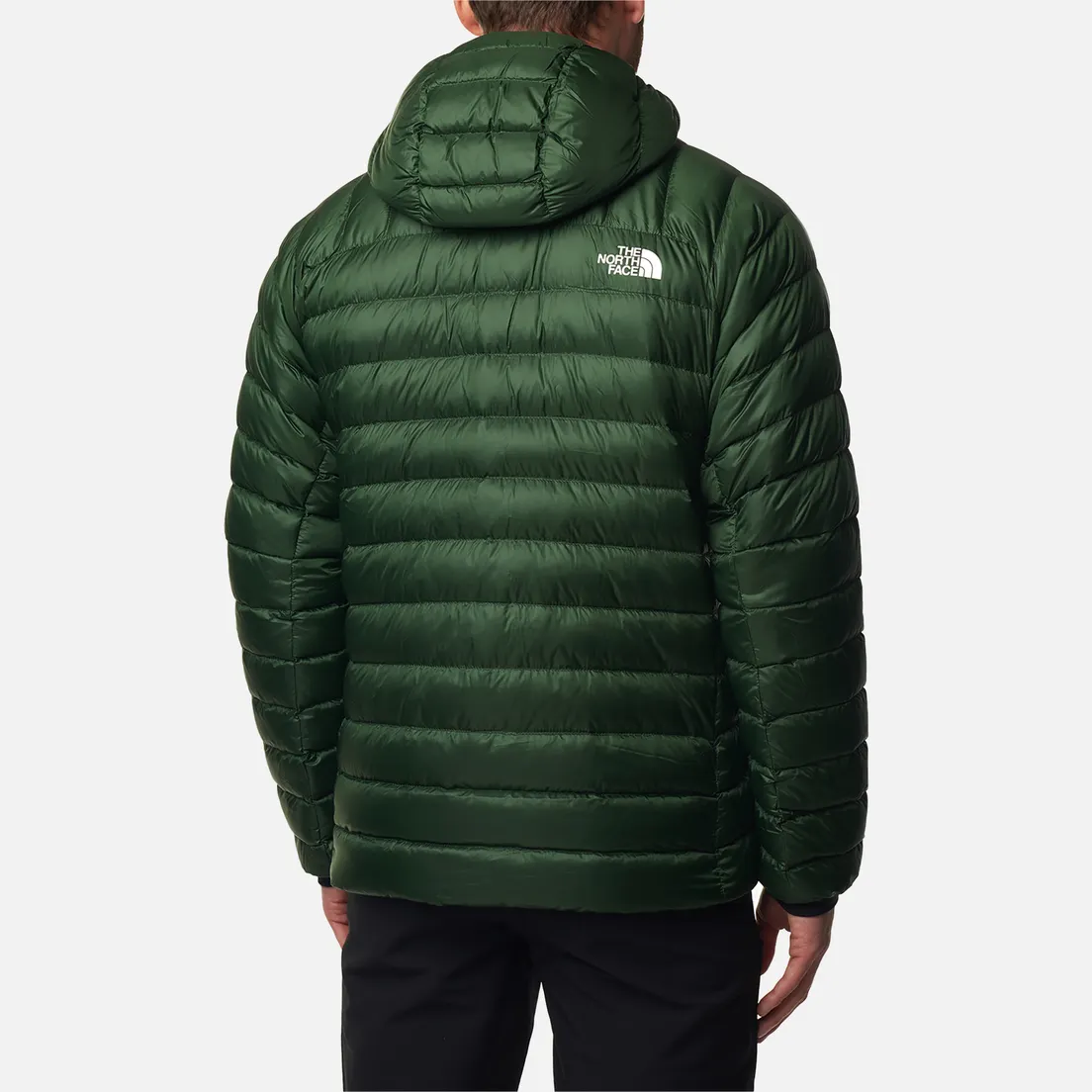 The North Face Мужской пуховик Summit Breithorn Down Hooded