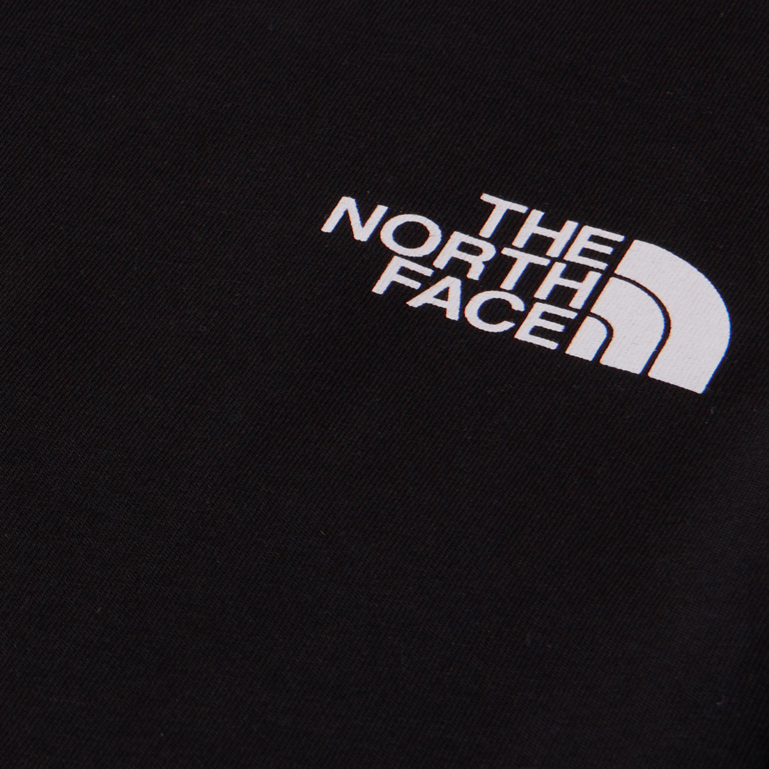 The North Face Мужская футболка Mountain Line
