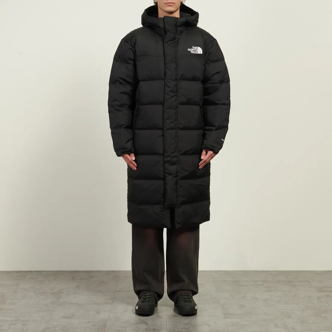 The North Face Мужская куртка парка Nuptse