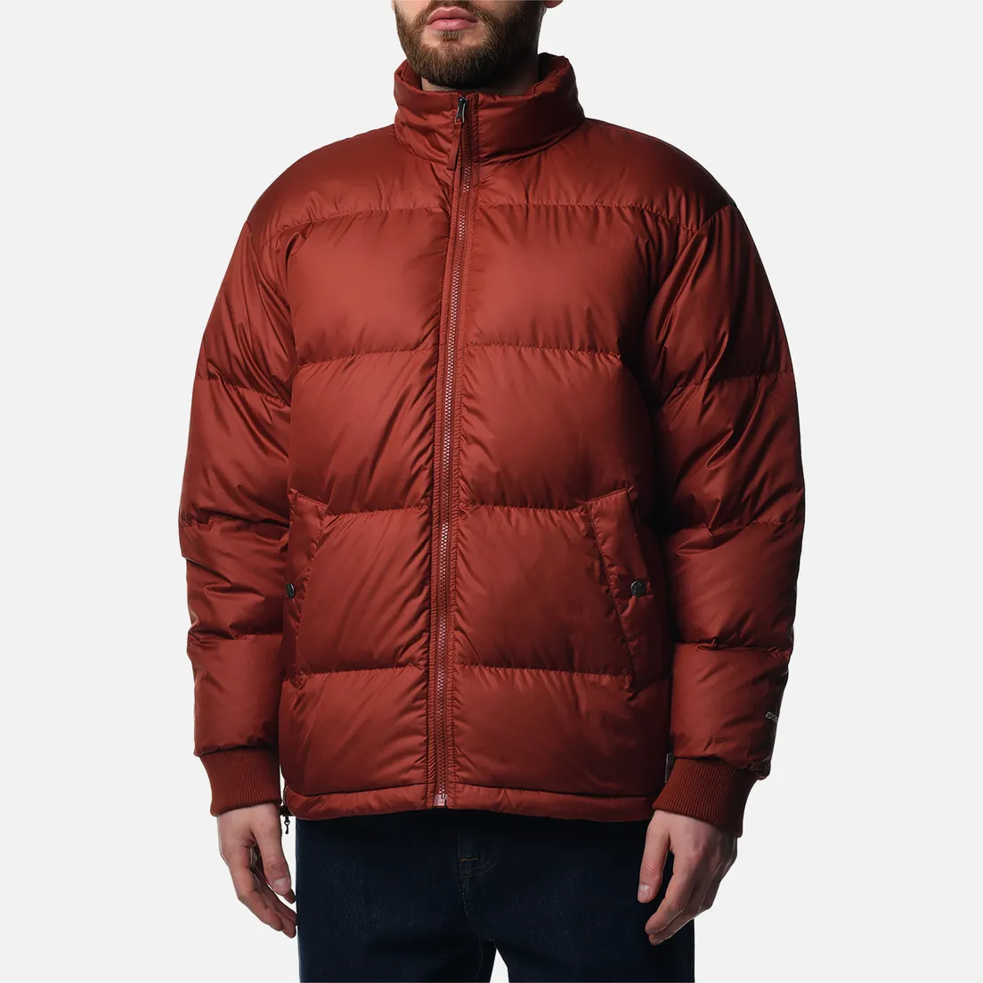 The North Face Мужской пуховик Down Paralta Puffer