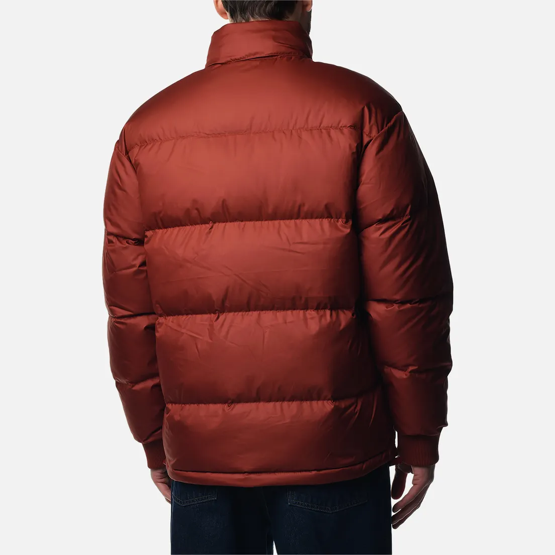 The North Face Мужской пуховик Down Paralta Puffer