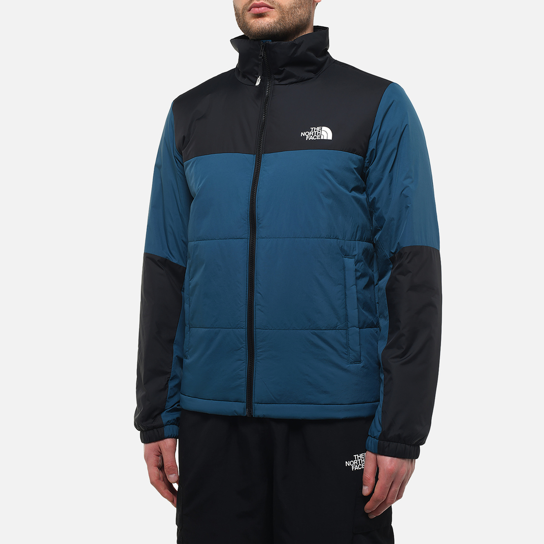 The North Face Мужской пуховик GoseI Puffer