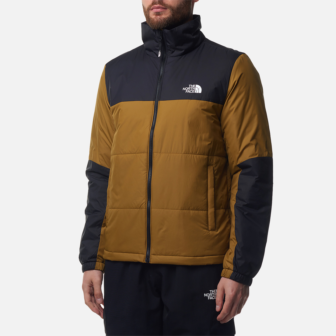 The North Face Мужской пуховик GoseI Puffer