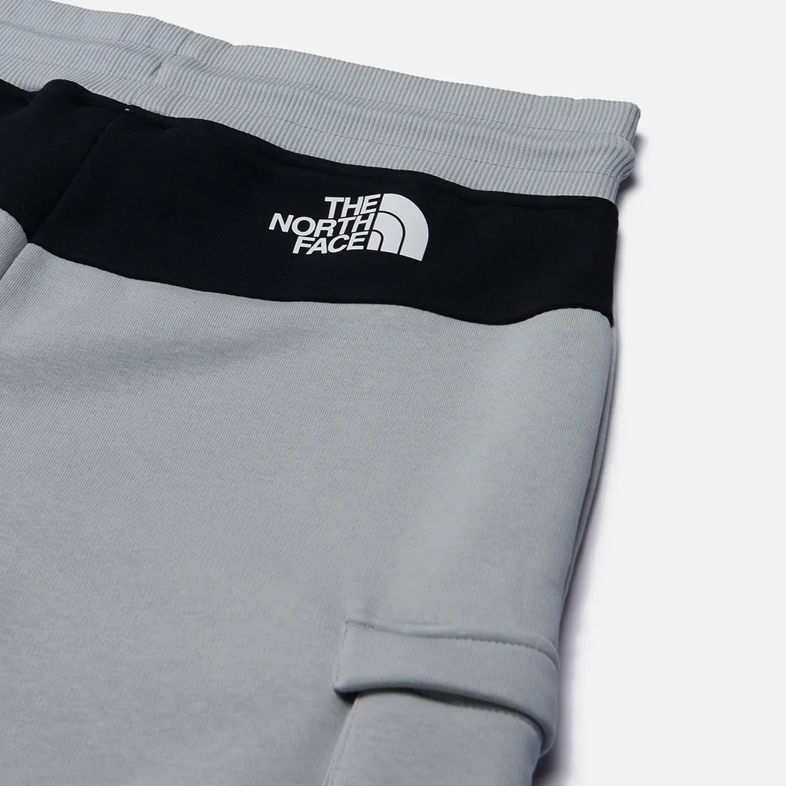 The North Face Мужские шорты Icon Cargo
