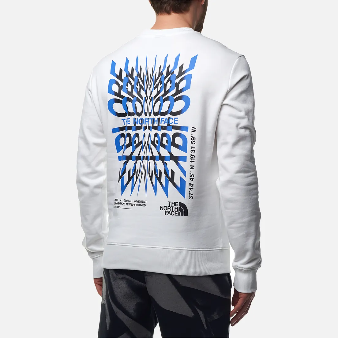 The North Face Мужская толстовка Coordinates Crew Neck