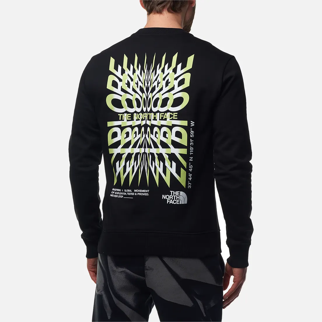 The North Face Мужская толстовка Coordinates Crew Neck