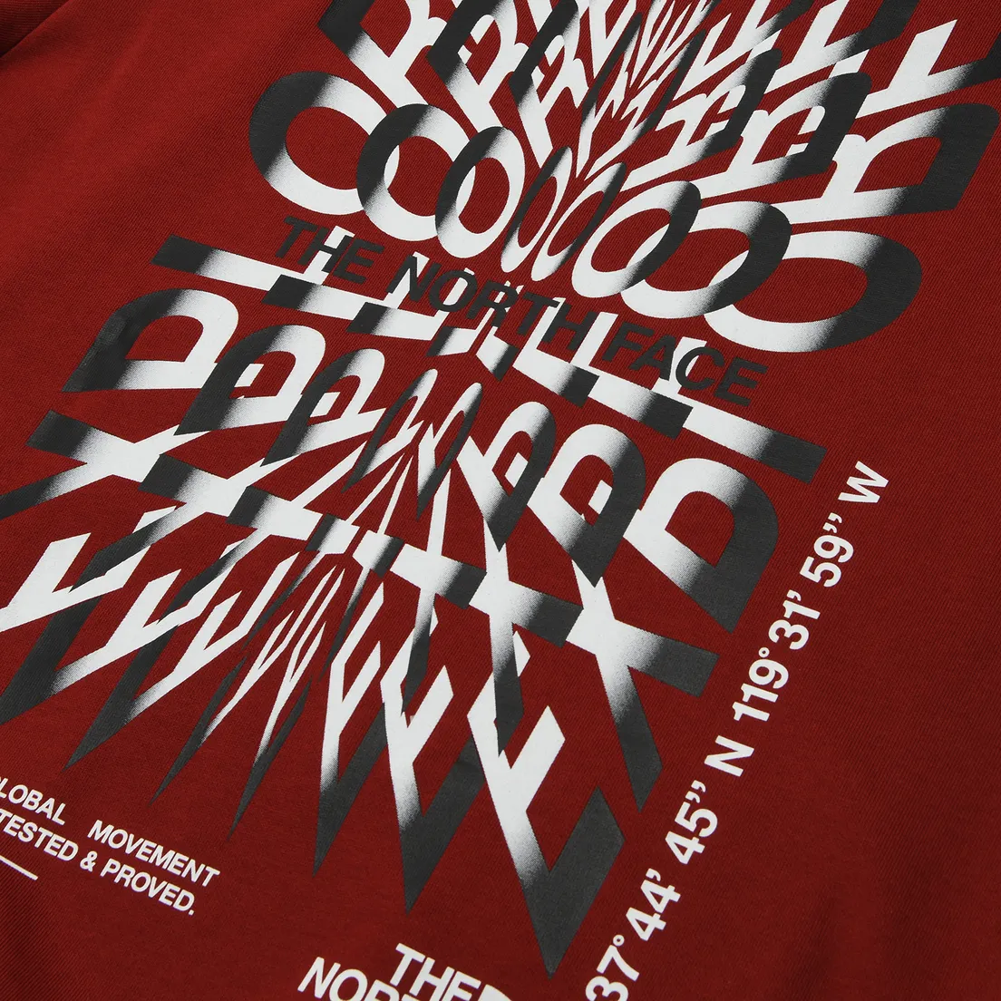 The North Face Мужская толстовка Coordinates Crew Neck