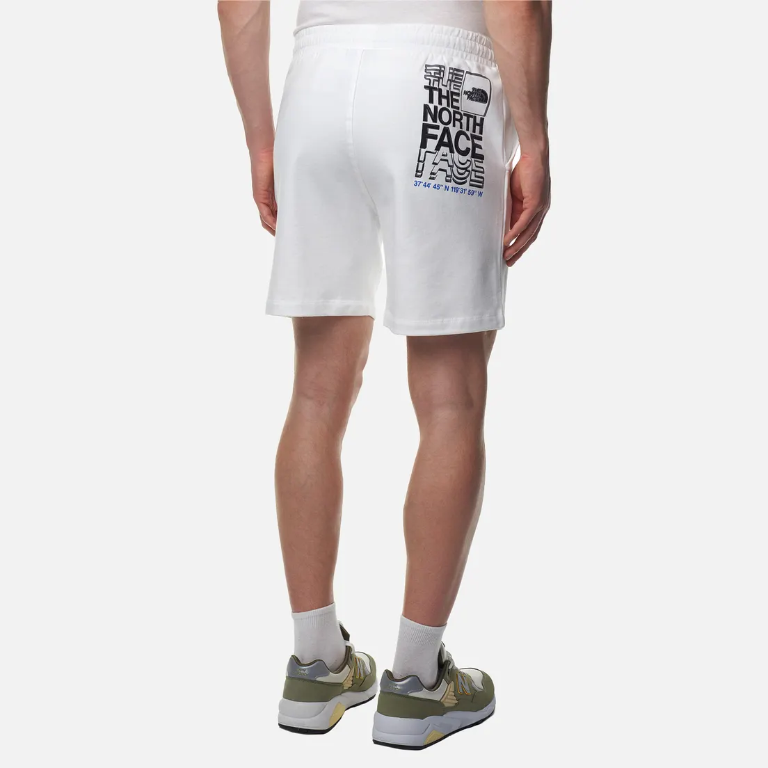 The North Face Мужские шорты Coordinates