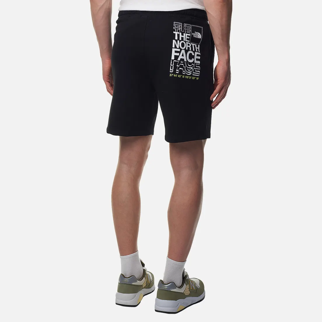 The North Face Мужские шорты Coordinates