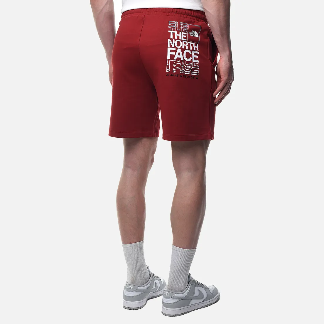 The North Face Мужские шорты Coordinates