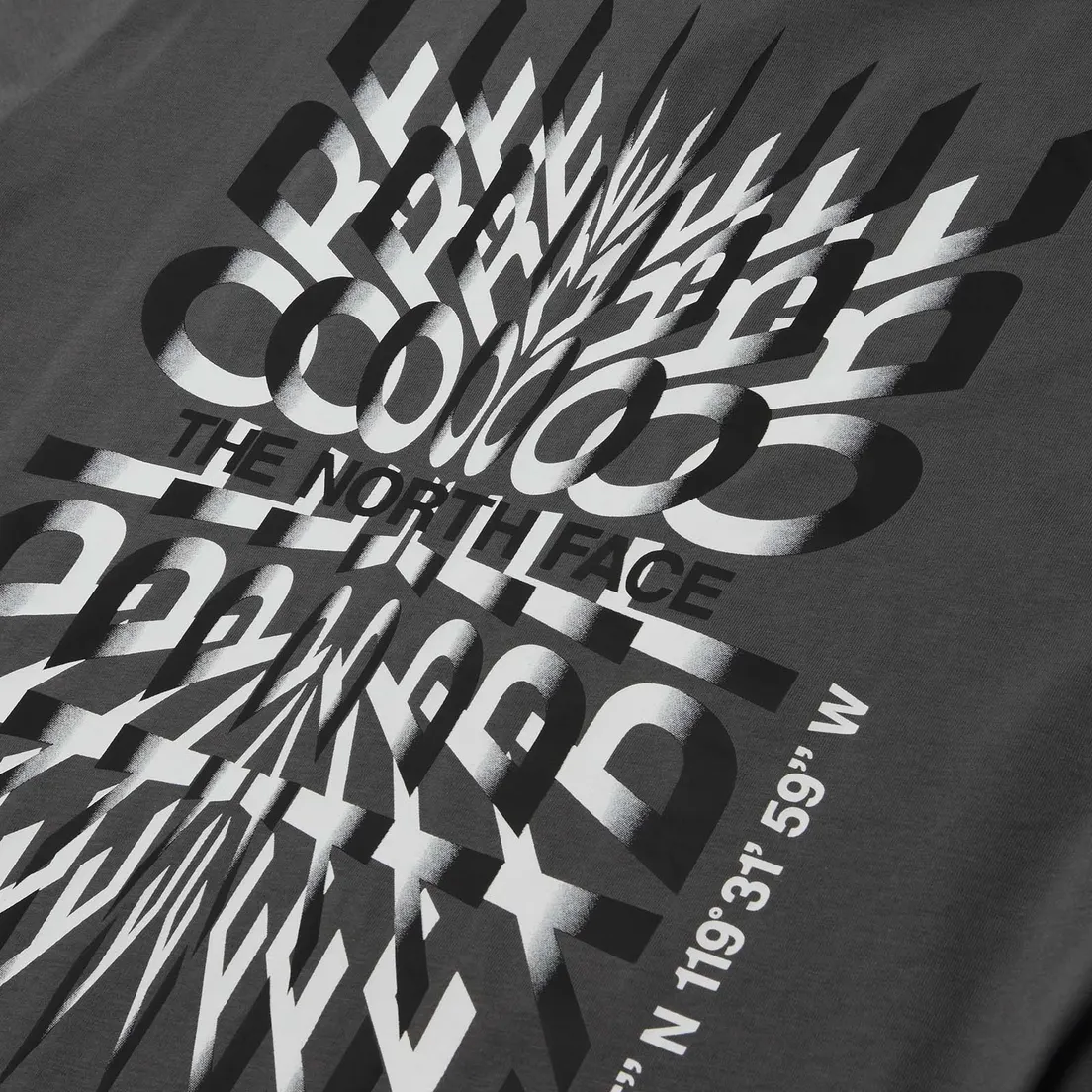 The North Face Мужская футболка Coordinates