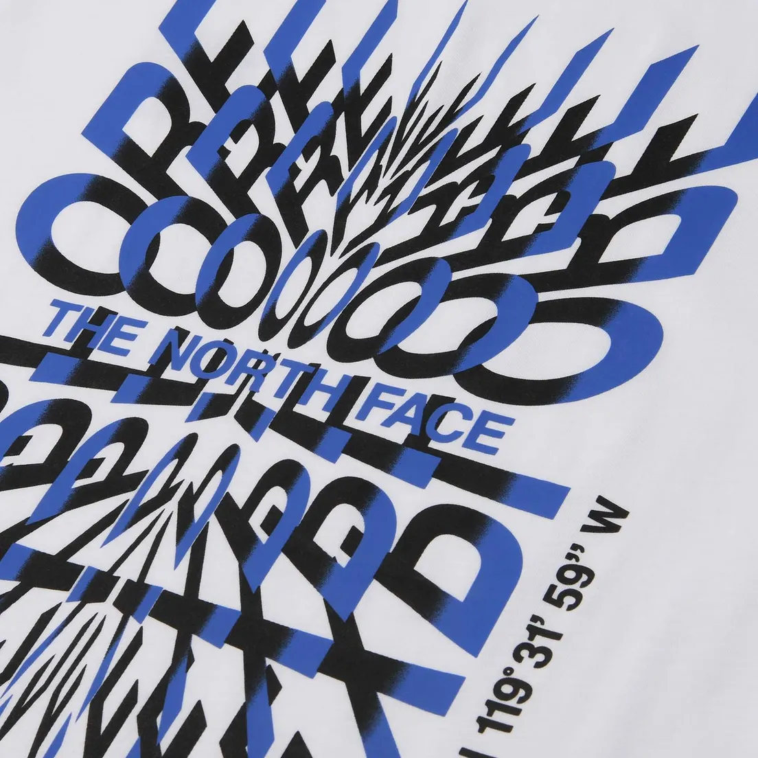 The North Face Мужская футболка Coordinates