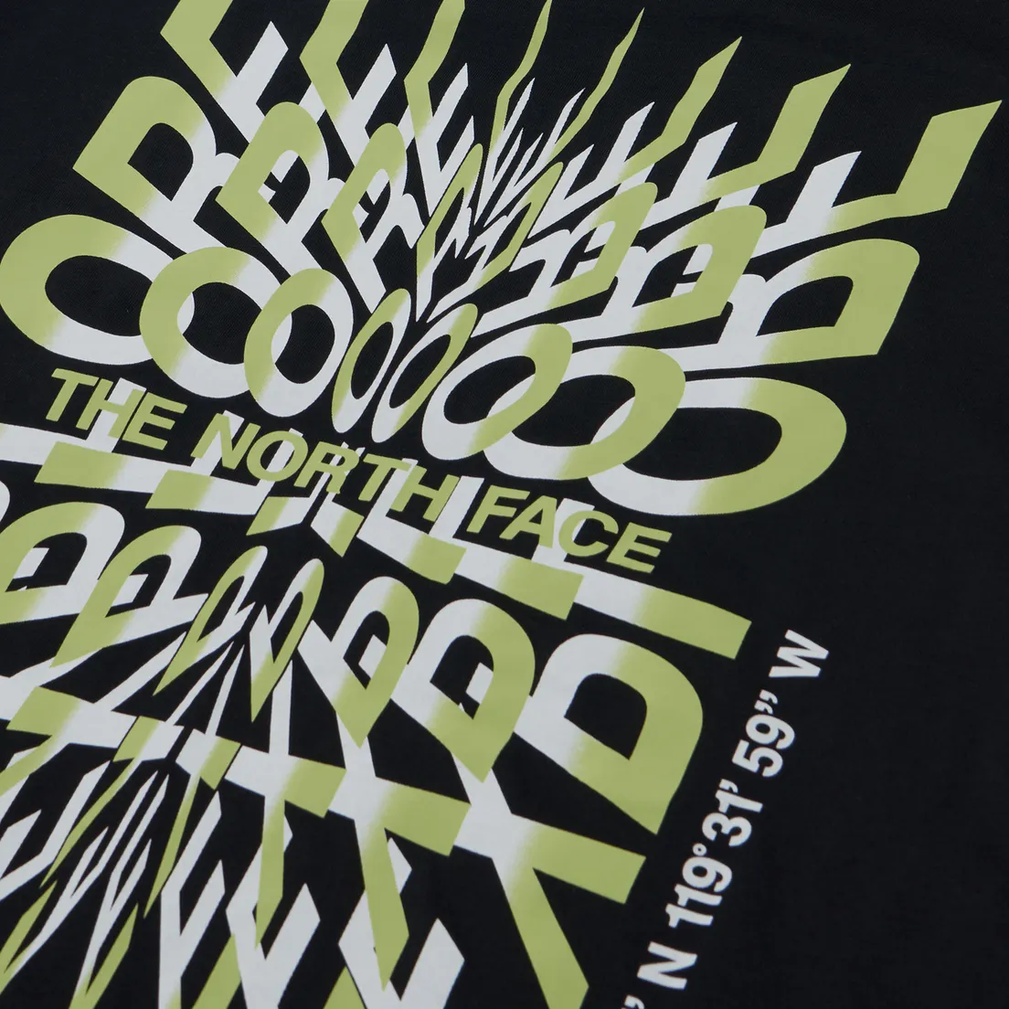 The North Face Мужская футболка Coordinates