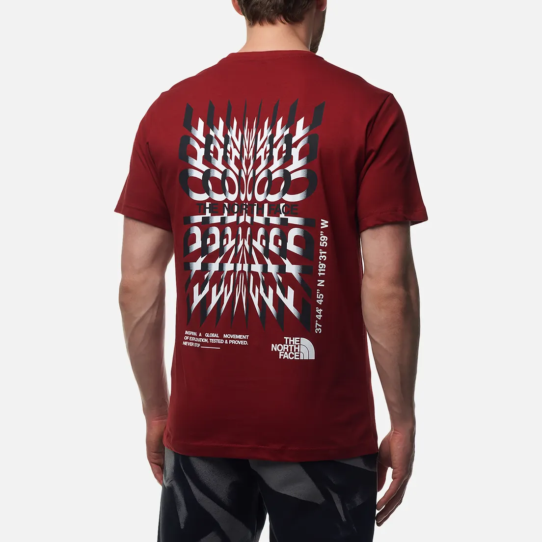 The North Face Мужская футболка Coordinates