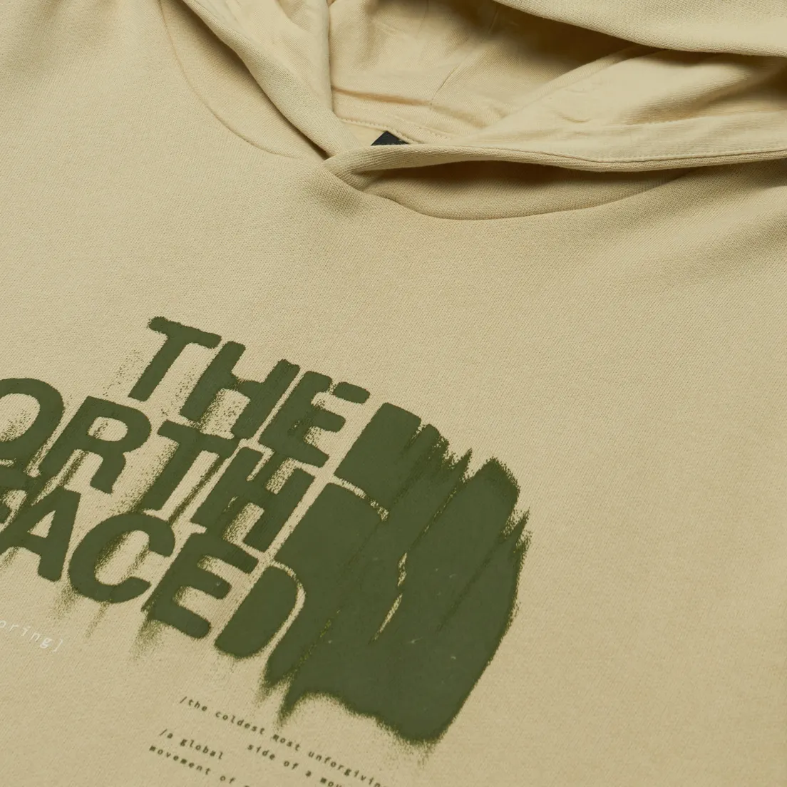 The North Face Мужская толстовка Graphic Hoodie 3