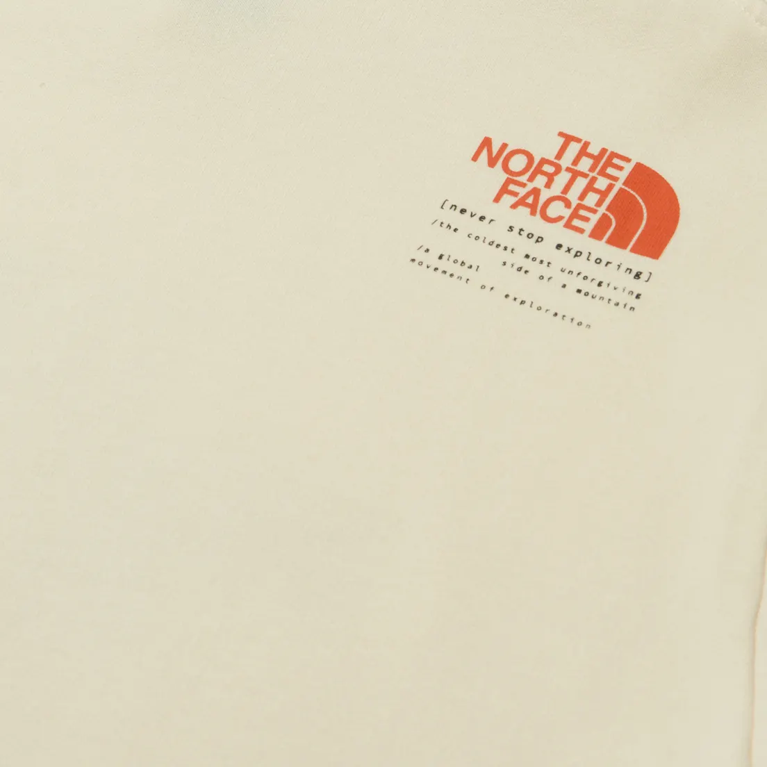 The North Face Мужская толстовка Graphic Hoodie 3